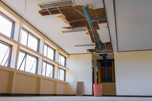 Best Water damage contractors near me  in Richmond Heights, OH