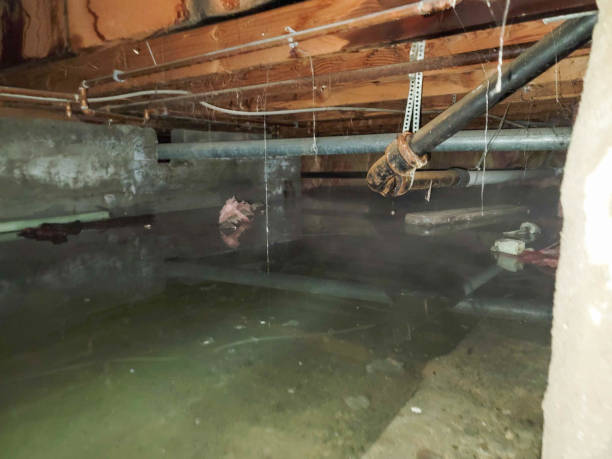 Best Water damage restoration near me  in Richmond Heights, OH