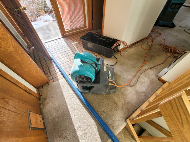 Best Water damage restoration mold remediation  in Richmond Heights, OH