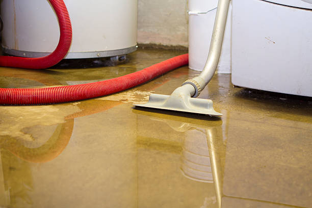 Best Sewage cleanup and water damage restoration  in Richmond Heights, OH